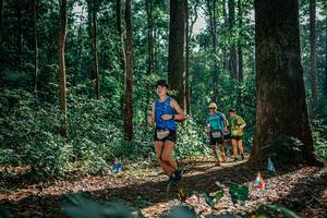 BIB: 
                            <button type="button" onclick="openModal(26130812)" class="btn btn-primary btn-sm float-right btn-popup" data-toggle="modal" data-target=".modal-high-quality">
                        <i class="fas fa-shopping-cart"></i> Add to Cart
                    </button>
                                            <button type="button" onclick="isThisMe(26130812, true)" class="btn btn-success btn-sm float-right btn-popup btn-isme hidden" data-toggle="tooltip" data-placement="bottom" title="นี่คือรูปของคุณใช่ไหม คลิกที่นี่เพื่อเอาเข้าอัลบั้ม">
                        <i class="fas fa-plus"></i> Add to album
                    </button>
                    <button type="button" onclick="isThisMe(26130812, false)" class="btn btn-warning btn-sm float-right btn-popup btn-isnotme hidden">
                        <i class="fas fa-ban"></i> Remove from album
                    </button>